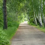 Apartament Mine Sehnsucht *