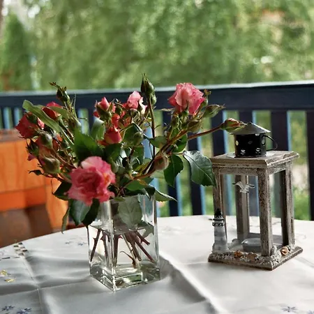 Mine Sehnsucht オストゼーバート・ディアーハーゲン